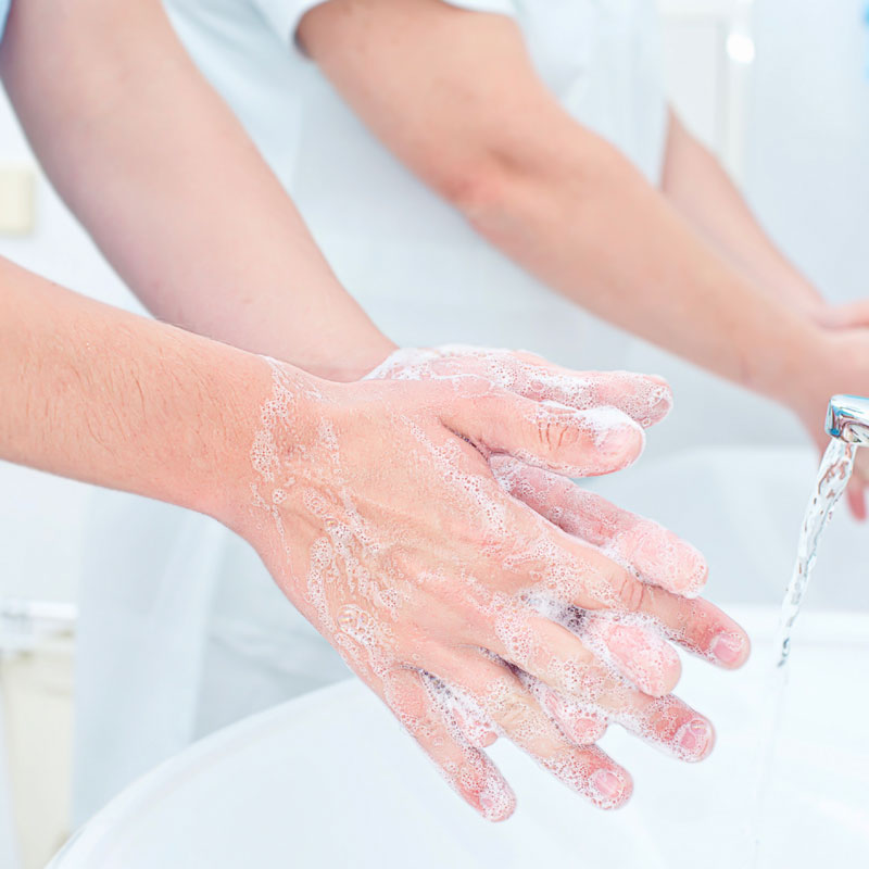 The hands in the food sector: hygiene risk and prevention